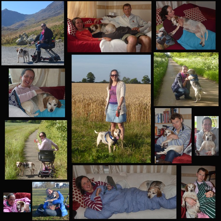 Lottie blog collage copy