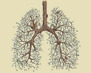 73c7c97e9a28fa9e2f85e36abbe73cc6