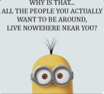 cd733b206ff4e0941ef82b15e923417b--minion-humour-minion-s