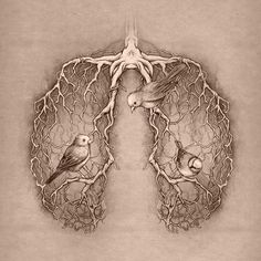 73a1db21d5d2809948d9b6c904fc959f--anatomy-tattoo-anatomy-art