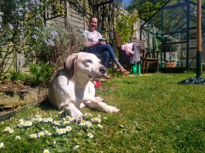 IMG_20200420_114547092_HDR